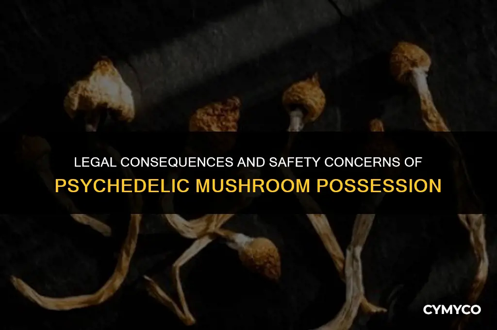 what happens if you get caught with psychedelic mushrooms