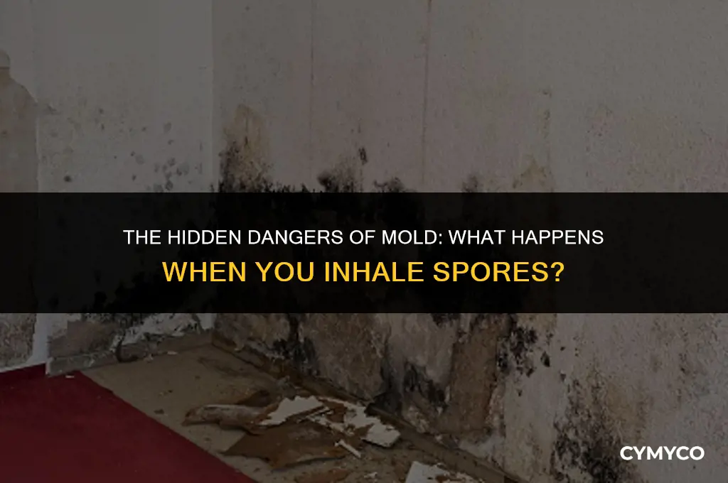 what happens if you inhale mold spores