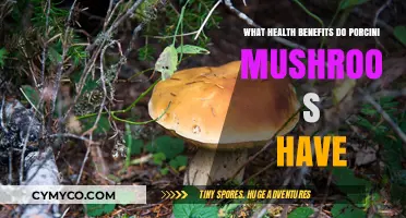 Exploring the Health Benefits of Porcini Mushrooms: A Nutritional Powerhouse