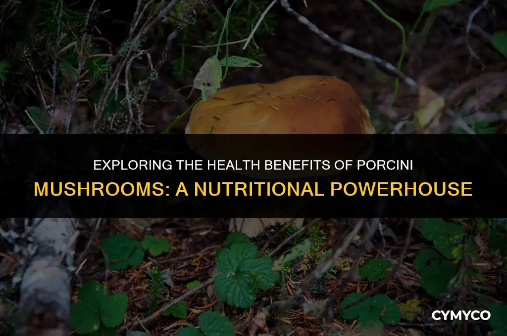 what health benefits do porcini mushroo s have