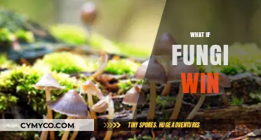 The Rise of Fungi: Exploring a World Where They Prevail