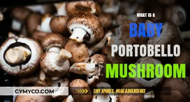 Exploring the Culinary Delight: Baby Portobello Mushrooms Unveiled