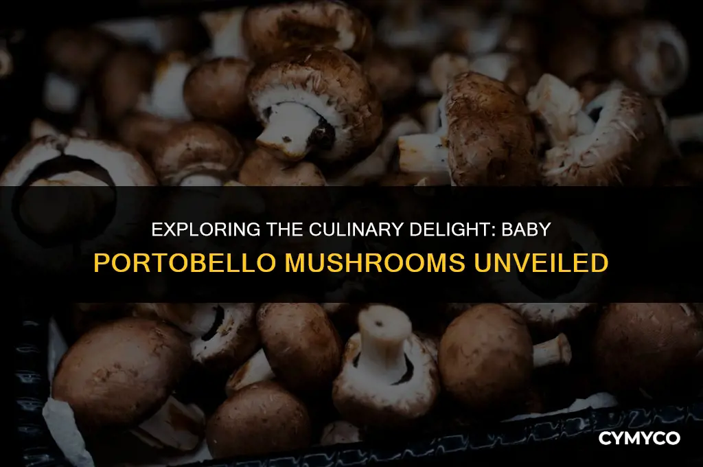 what is a baby portobello mushroom