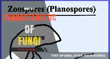 Exploring the Unique Characteristics of Fungi: A Comprehensive Overview