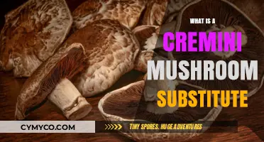 Exploring Flavorful Alternatives: Cremini Mushroom Substitutes in Cooking