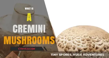 Discover the Flavor and Versatility of Cremini Mushrooms