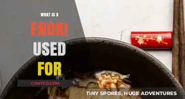 Exploring the Versatility of Enoki Mushrooms in Culinary Delights