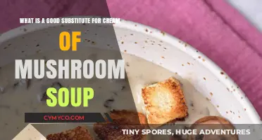 Delicious Alternatives: Replacing Cream of Mushroom Soup in Your Recipes
