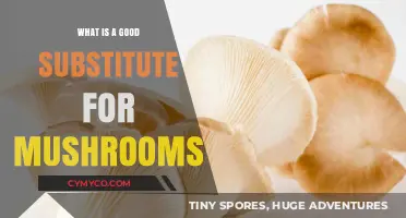 Exploring Flavorful Alternatives: The Best Substitutes for Mushrooms