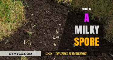 Unlocking the Secrets of Milky Spores: A Comprehensive Guide