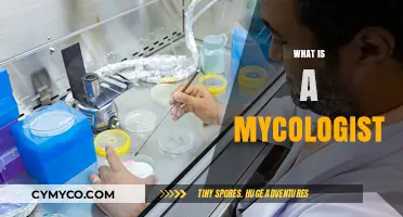Exploring the Fascinating World of Mycologists and Their Fungal Studies