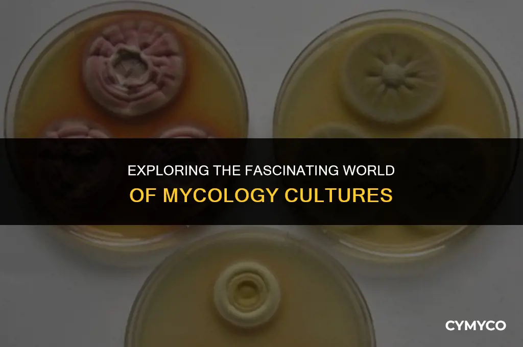 what is a mycology culture