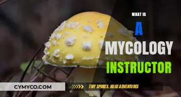 Exploring the Fascinating World of Fungi: Meet a Mycology Instructor