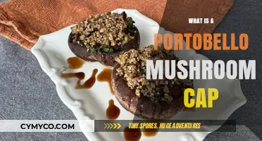 Exploring the Culinary Uses of Portobello Mushroom Caps