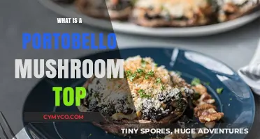 Exploring the Culinary Delight of Portobello Mushroom Tops