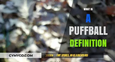 Exploring the Whimsical World of Puffballs: A Comprehensive Definition