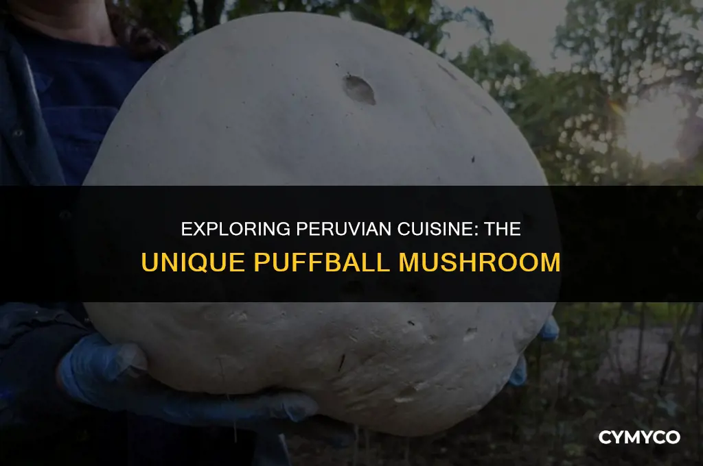 what is a puffball in peru called