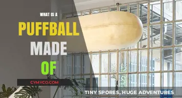 Unveiling the Secrets: What's Inside a Puffball?