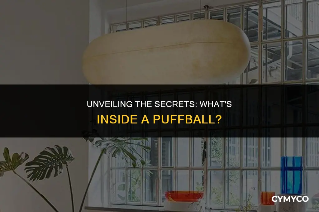 what is a puffball made of