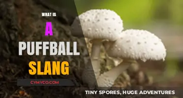 Decoding the Mystery: What Does 'Puffball' Mean in Modern Slang?