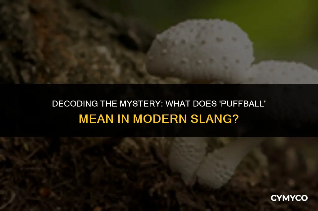 what is a puffball slang