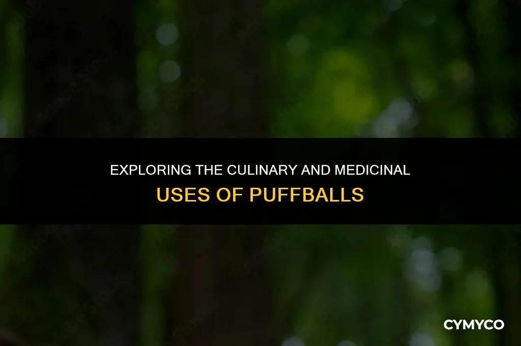 what is a puffball used for