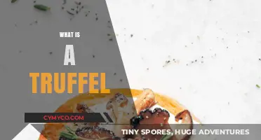 Unveiling the Mystery: What is a Truffle and Why is it Prized?