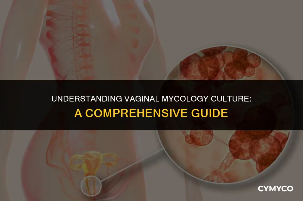 what is a vag mycology culture