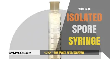 Understanding Isolated Spore Syringes: A Comprehensive Guide for Beginners