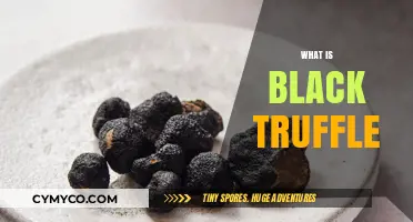 Unveiling the Mystery: What is Black Truffle and Why is it Prized?