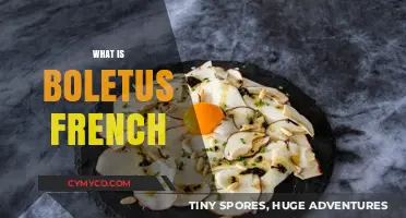 Exploring the Rich Flavors of Boletus Mushrooms in French Cuisine