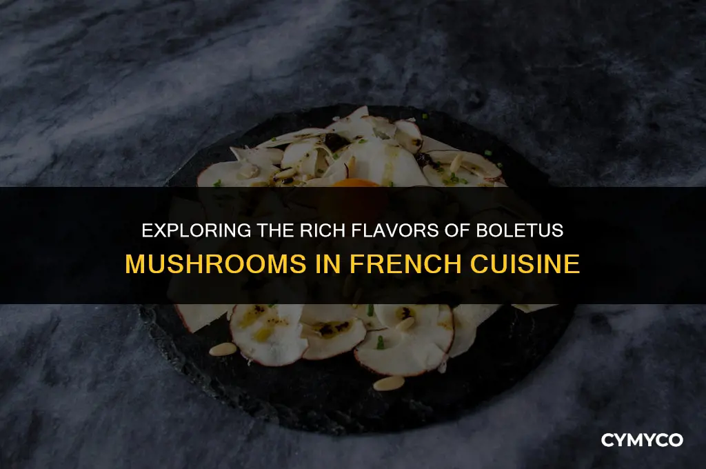 what is boletus french