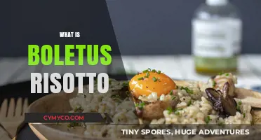 Savoring the Earthy Delights of Boletus Risotto: A Culinary Journey