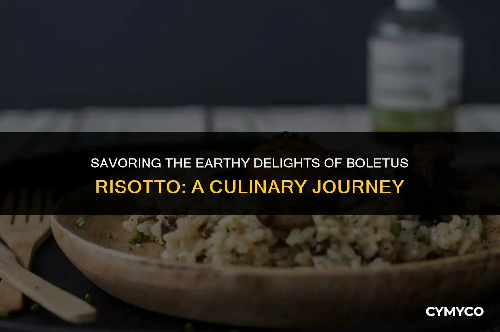 what is boletus risotto