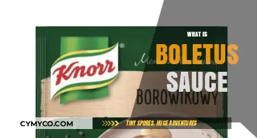 Exploring the Richness of Boletus Sauce: A Culinary Journey