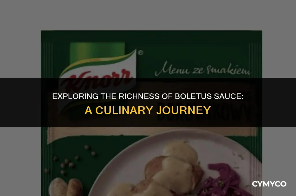 what is boletus sauce