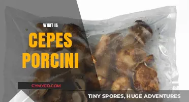 Exploring the Rich Flavor Profile of Cepes Porcini Mushrooms