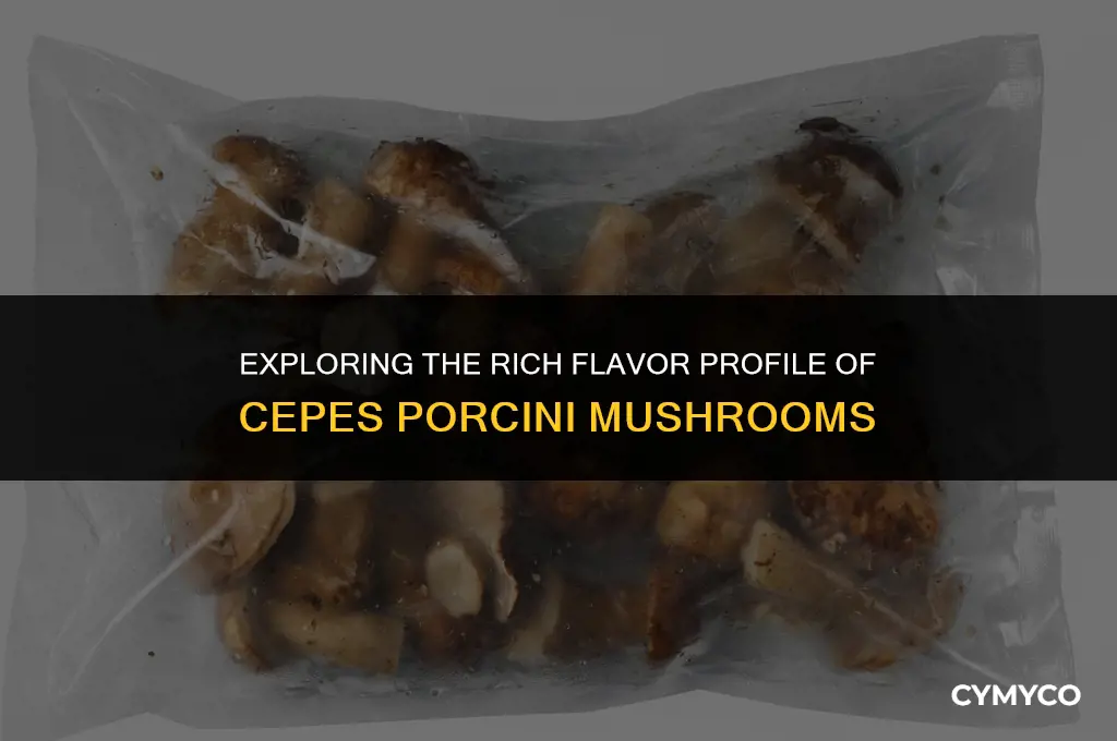 what is cepes porcini