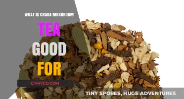 Unlocking the Health Benefits of Chaga Mushroom Tea