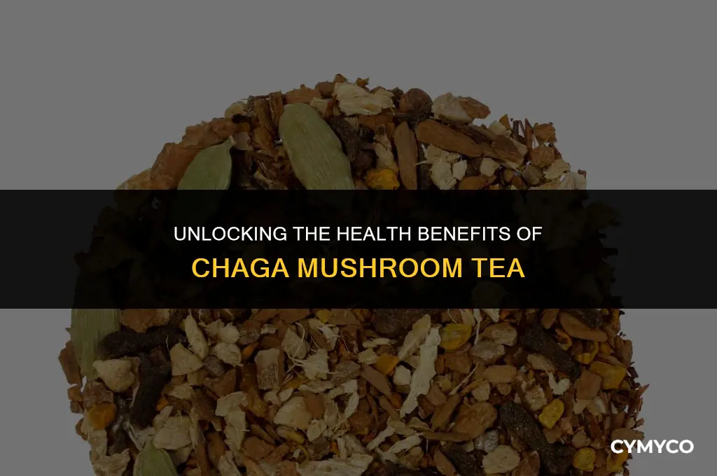 what is chaga mushroom tea good for