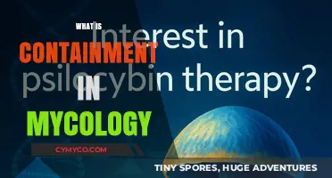 Exploring Containment Strategies in Mycology: Safeguarding Against Fungal Threats