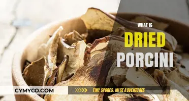 Exploring the Rich Flavor and Versatility of Dried Porcini Mushrooms