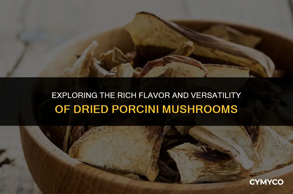 what is dried porcini