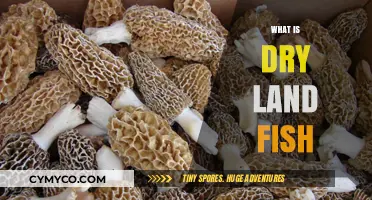 Exploring the Unique World of Dry Land Fish: Facts and Curiosities