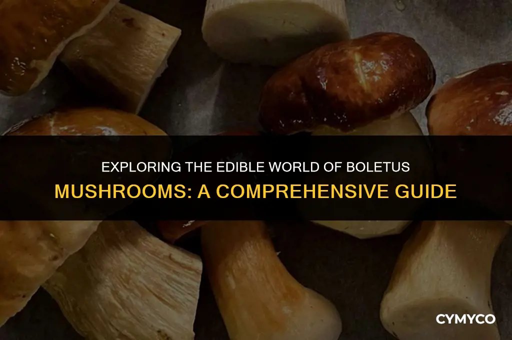what is edible boletus