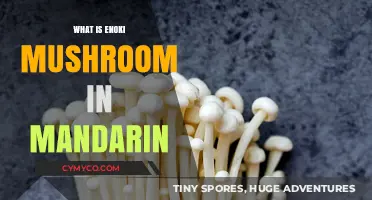 Exploring the Enoki Mushroom: A Mandarin Culinary Delight