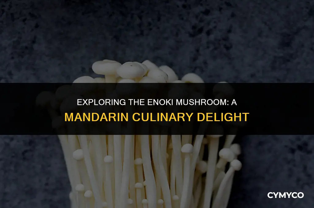 what is enoki mushroom in mandarin