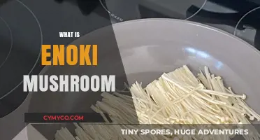 Discover the Delicate Enoki Mushroom: Uses, Benefits, and Culinary Tips