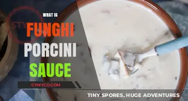 Exploring the Rich Flavors of Funghi Porcini Sauce