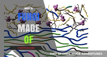 Exploring the Intricate Composition of Fungi: A Microscopic Journey